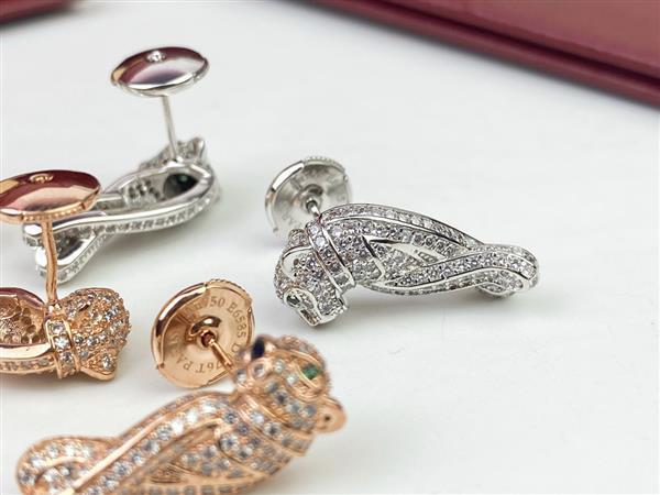 202426145840875 6520